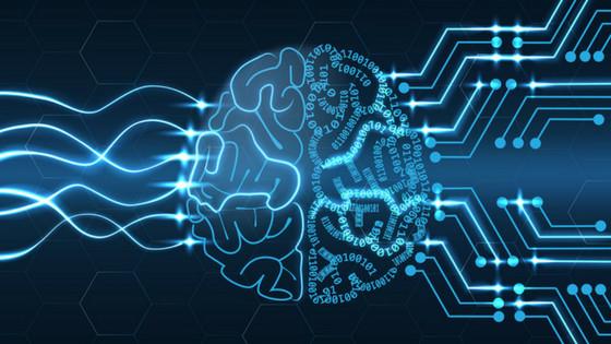 A brain processing info