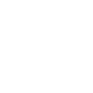 Prime Healthcare logo