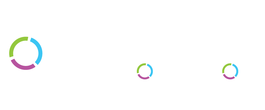 fsi transformation white logo