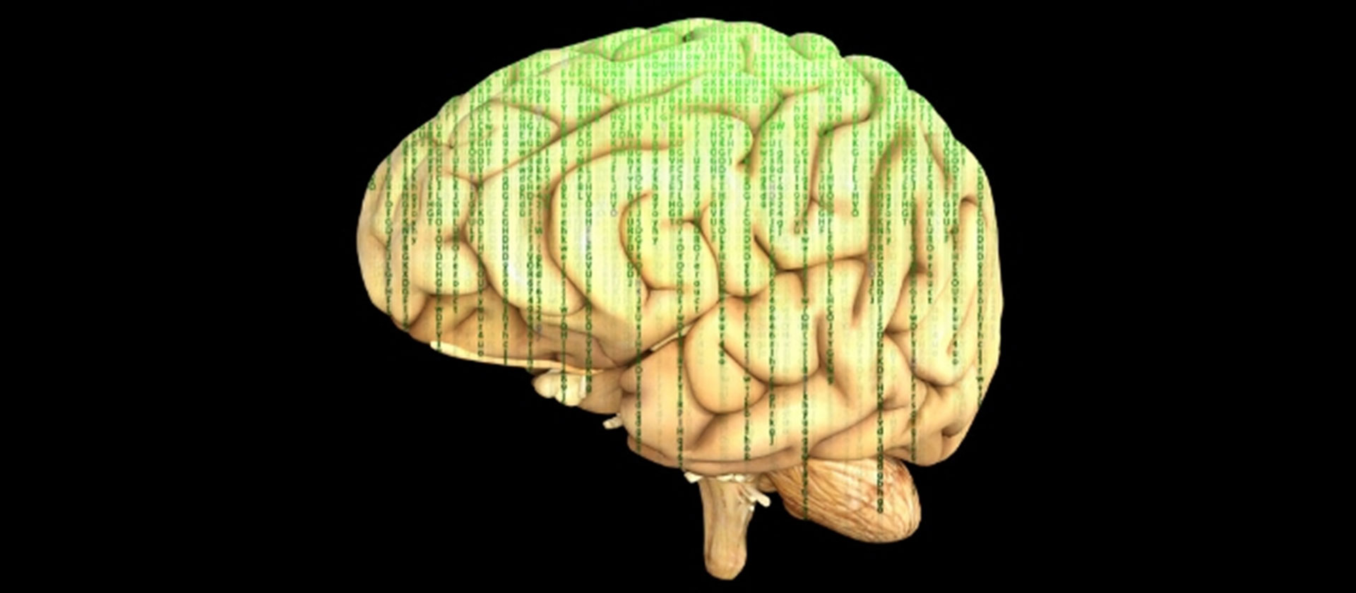 Flux of data in a brain